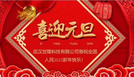 <b>迎接2025，武漢世隆科技與您共啟新年新篇章</b>